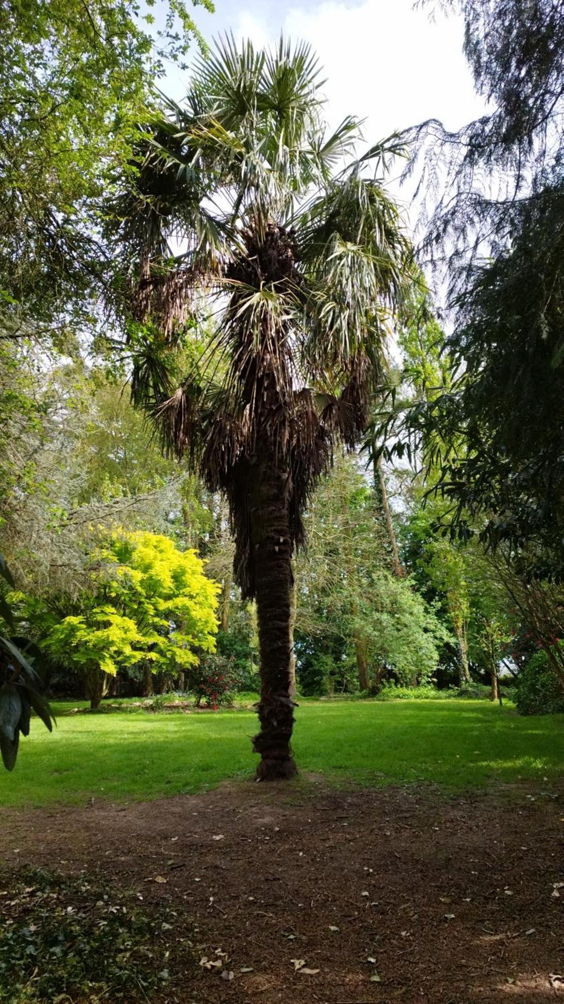 La Suite D'Anna Rohan Εξωτερικό φωτογραφία